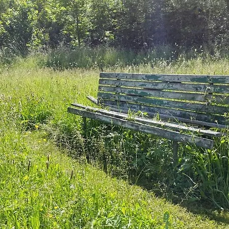 Einzigartige Auszeit In Der Historischen Muehle In Appartement Deißlingen